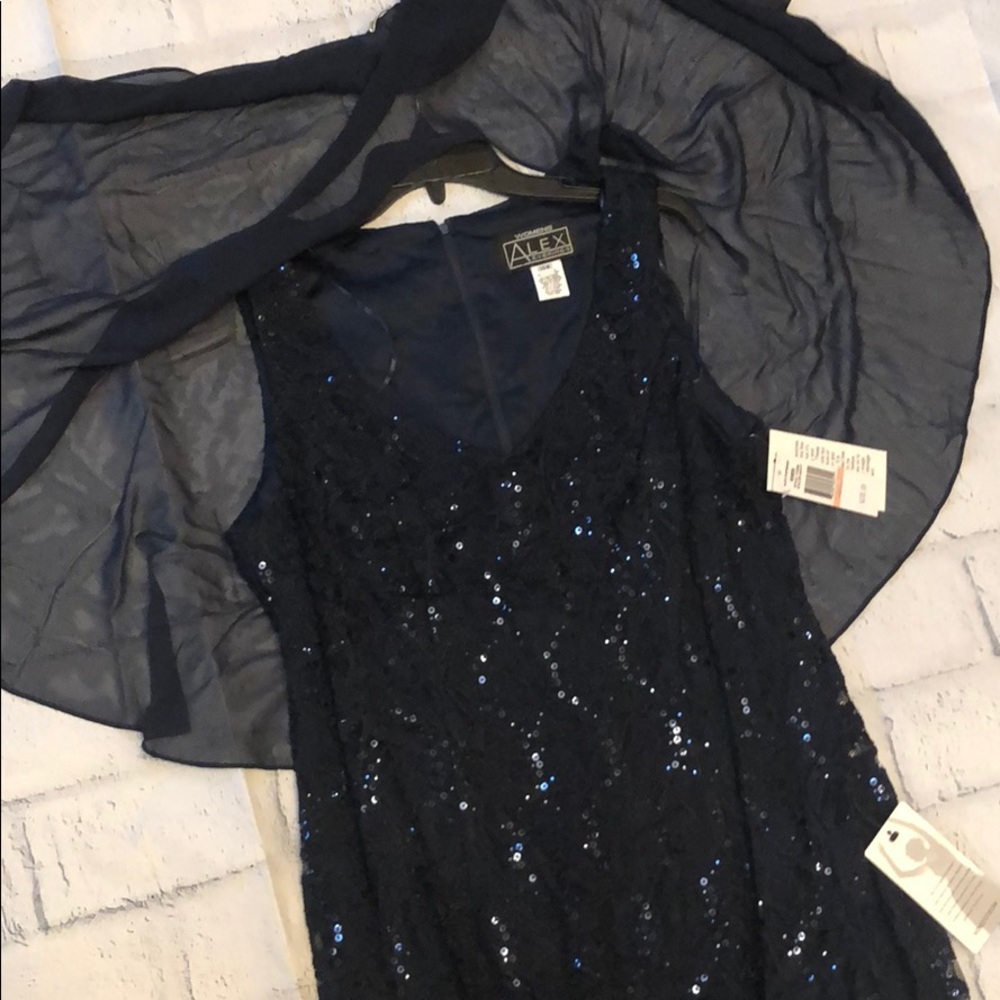 NWT- Stunning Evening Dress by Alex Evenings